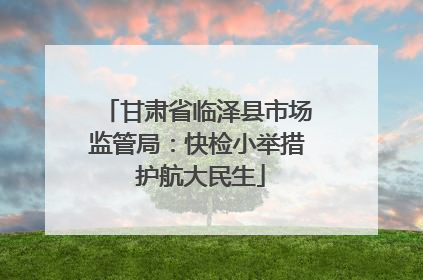 甘肃省临泽县市场监管局：快检小举措 护航大民生