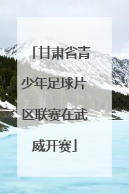 甘肃省青少年足球片区联赛在武威开赛