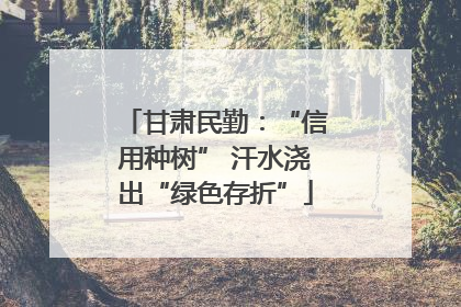 甘肃民勤：“信用种树” 汗水浇出“绿色存折”