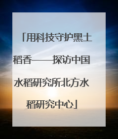 用科技守护黑土稻香——探访中国水稻研究所北方水稻研究中心