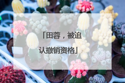 田蓉，被追认撤销资格