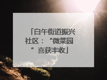 白午街道振兴社区：“微菜园”喜获丰收