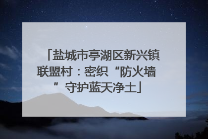 盐城市亭湖区新兴镇联盟村：密织“防火墙”守护蓝天净土