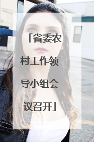 省委农村工作领导小组会议召开