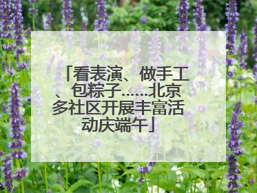 看表演、做手工、包粽子……北京多社区开展丰富活动庆端午