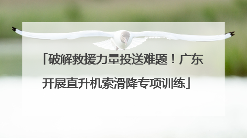 破解救援力量投送难题！广东开展直升机索滑降专项训练