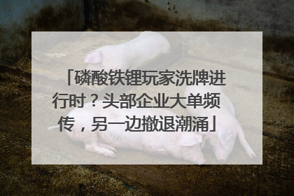 磷酸铁锂玩家洗牌进行时？头部企业大单频传，另一边撤退潮涌
