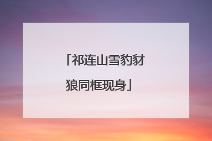 祁连山雪豹豺狼同框现身