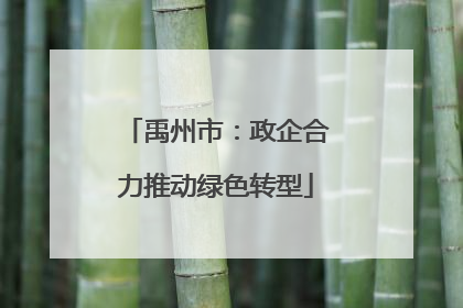 禹州市：政企合力推动绿色转型