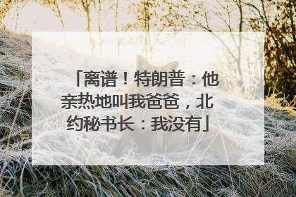 离谱！特朗普：他亲热地叫我爸爸，北约秘书长：我没有