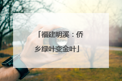 福建明溪：侨乡绿叶变金叶