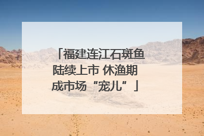 福建连江石斑鱼陆续上市 休渔期成市场“宠儿”