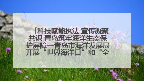科技赋能执法 宣传凝聚共识 青岛筑牢海洋生态保护屏障—青岛市海洋发展局开展“世界海洋日”和“全国海洋宣传日”宣传活动