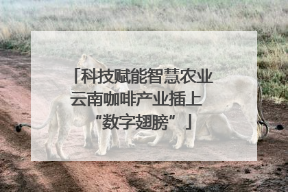 科技赋能智慧农业 云南咖啡产业插上“数字翅膀”