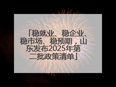 稳就业、稳企业、稳市场、稳预期，山东发布2025年第二批政策清单