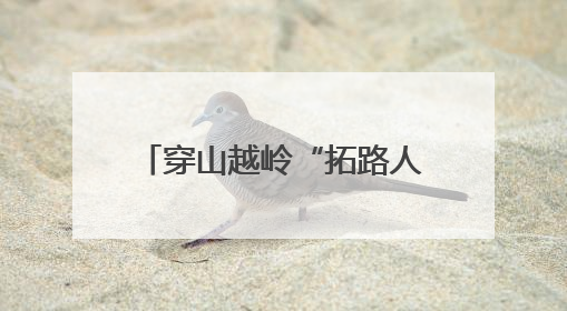 穿山越岭“拓路人”：二十六载匠心织密浙江共富路网