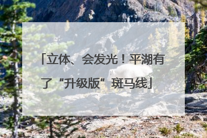 立体、会发光！平湖有了“升级版”斑马线
