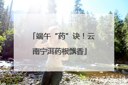 端午“药”诀！云南宁洱药根飘香