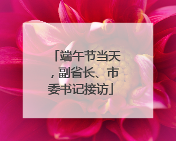 端午节当天，副省长、市委书记接访