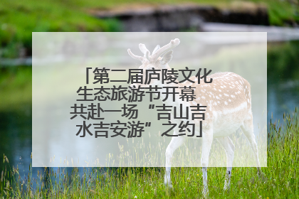 第二届庐陵文化生态旅游节开幕 共赴一场“吉山吉水吉安游”之约
