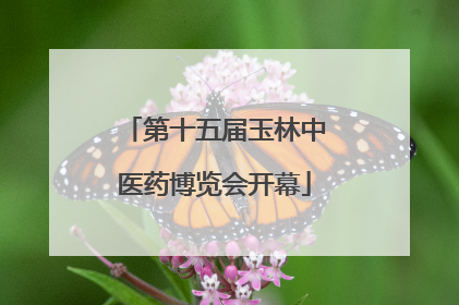 第十五届玉林中医药博览会开幕
