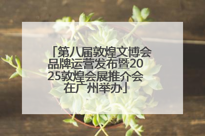 第八届敦煌文博会品牌运营发布暨2025敦煌会展推介会在广州举办