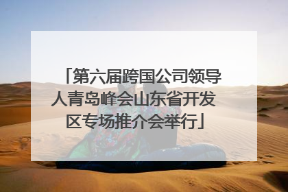第六届跨国公司领导人青岛峰会山东省开发区专场推介会举行