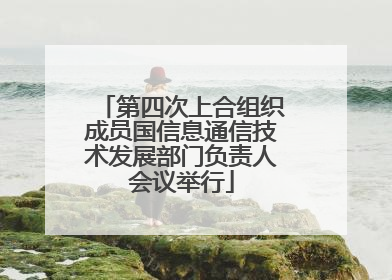 第四次上合组织成员国信息通信技术发展部门负责人会议举行