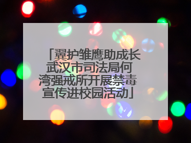 翼护雏鹰助成长 武汉市司法局何湾强戒所开展禁毒宣传进校园活动