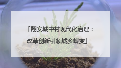 翔安城中村现代化治理：改革创新引领城乡蝶变