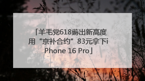 羊毛党618薅出新高度 用“京补合约”83元拿下iPhone 16 Pro