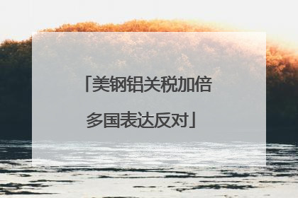 美钢铝关税加倍 多国表达反对