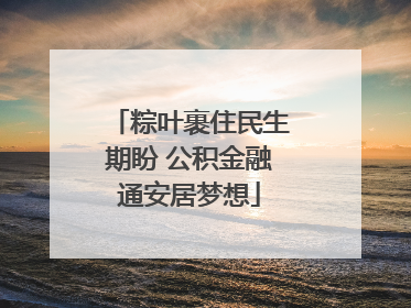 粽叶裹住民生期盼 公积金融通安居梦想