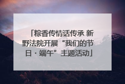 粽香传情话传承 新野法院开展“我们的节日・端午”主题活动