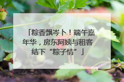 粽香飘岑卜！端午嘉年华，房东阿姨与租客结下“粽子情”