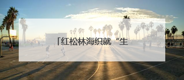 红松林海织就“生态+”富民画卷
