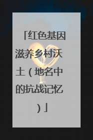 红色基因滋养乡村沃土（地名中的抗战记忆）