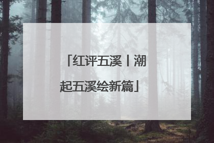 红评五溪丨潮起五溪绘新篇