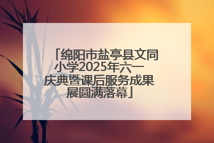 绵阳市盐亭县文同小学2025年六一庆典暨课后服务成果展圆满落幕