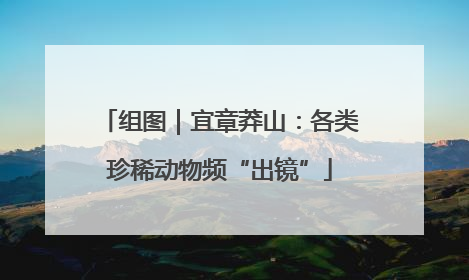 组图｜宜章莽山：各类珍稀动物频“出镜”