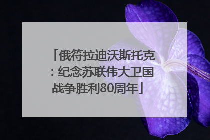 俄符拉迪沃斯托克：纪念苏联伟大卫国战争胜利80周年