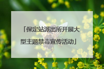 保定站派出所开展大型主题禁毒宣传活动