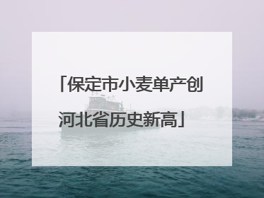 保定市小麦单产创河北省历史新高