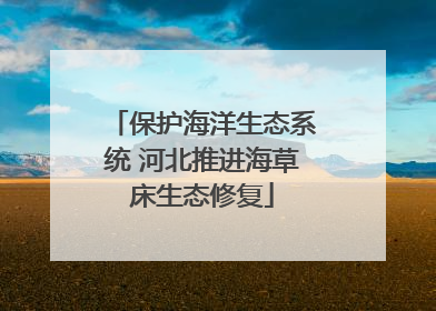 保护海洋生态系统 河北推进海草床生态修复