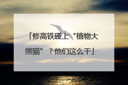 修高铁碰上“植物大熊猫”？他们这么干