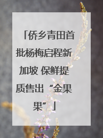 侨乡青田首批杨梅启程新加坡 保鲜提质售出“金果果”