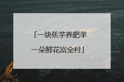 一块蕉芋养肥羊 一朵鲜花富全村