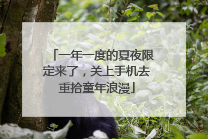 一年一度的夏夜限定来了，关上手机去重拾童年浪漫