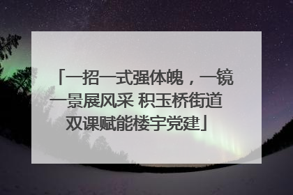 一招一式强体魄，一镜一景展风采 积玉桥街道双课赋能楼宇党建