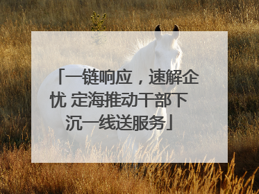 一链响应，速解企忧 定海推动干部下沉一线送服务